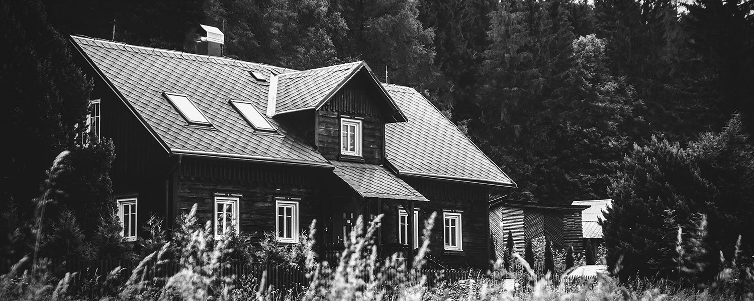 exterior of home surrounded by tall trees